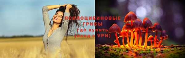 дживик Зеленодольск