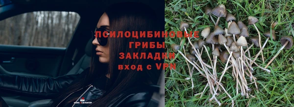 apvp Алексеевка