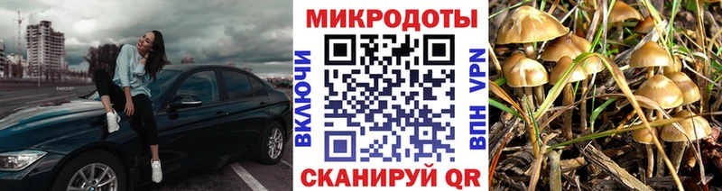 Псилоцибиновые грибы прущие грибы  Арск 
